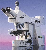 microscope